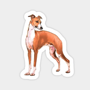 Italian Greyhound Beauty Sticker